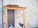 Piacenza bilocale nuovo con giardino
