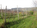 Gropparello Rustico in Sasso con 12 pertiche di Terreno