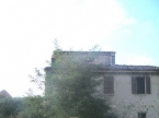 Rivergaro Rustico con terreno