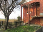 Celleri ex azienda agricola con 6000 mq di area cortilizia