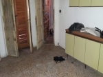 Salsomaggiore Terme Due Camere