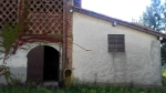 Rif. V3018