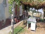 Casa indipendente con Giardino e 100 pertiche di Terreno