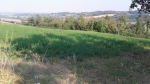 Rif. V3039