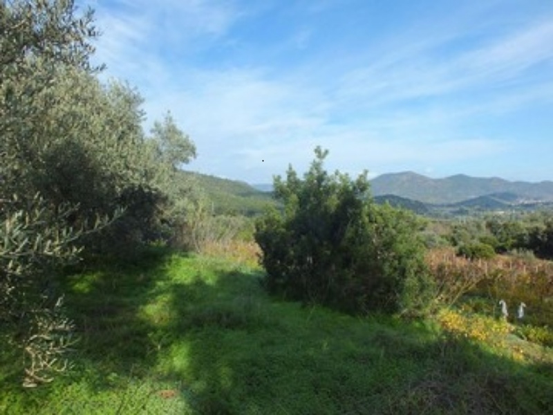 Zona collinare terreno agricolo