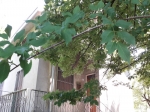Gropparello Villa composta da due appartamenti con ampia area verde