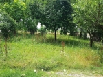 Porzione di Bifamigliare con Giardino Privato
