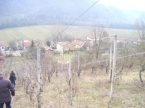 Vicinanze Lugagnano terreno con rustichetto