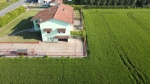 Rif. V3634