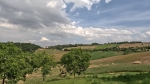 Rif. V3659