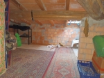 Rif. V3689