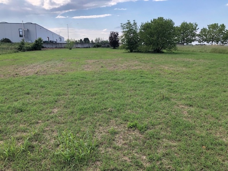 AFFITTASI TERRENO AGRICOLO - FORNIO (FIDENZA)