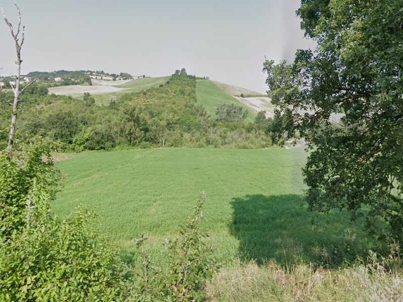 Val Chiavenna Terreno agricolo e boschetto