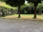 Casa Indipendente Con Ampio Giardino