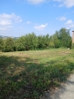 Rif. V3870