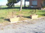 Besenzone campagna casa con ampio giardino