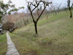Gropparello Casa Indipendente in posizione Esclusiva e Panoramica