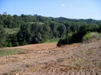 Travazzano rustico con 40 pertiche di terreno e laghetto